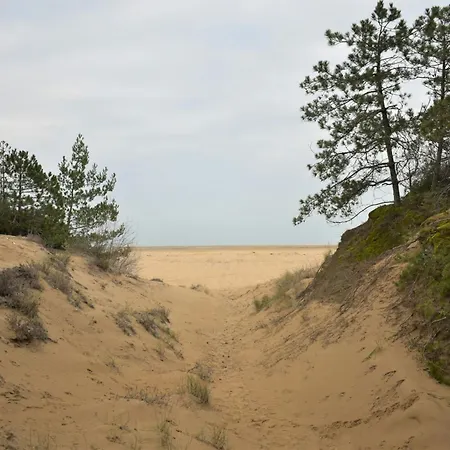 アパート Sunny Terraced In Lignano